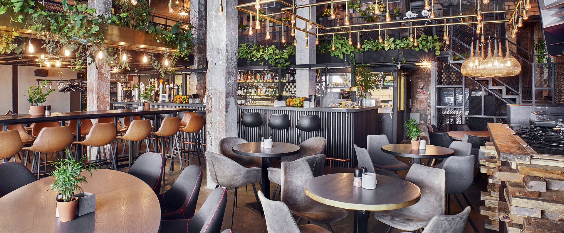 modern cafe with granite counter tops and various forms of indoor seating with vines adorning the ceiling elements by a class bar