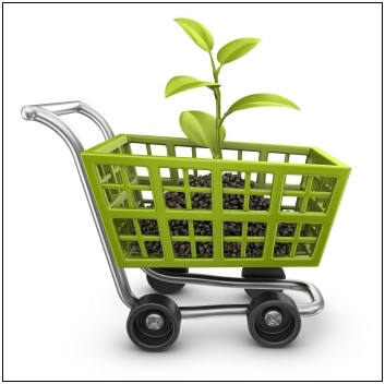 shopping cart with soil and a plant growing out of it