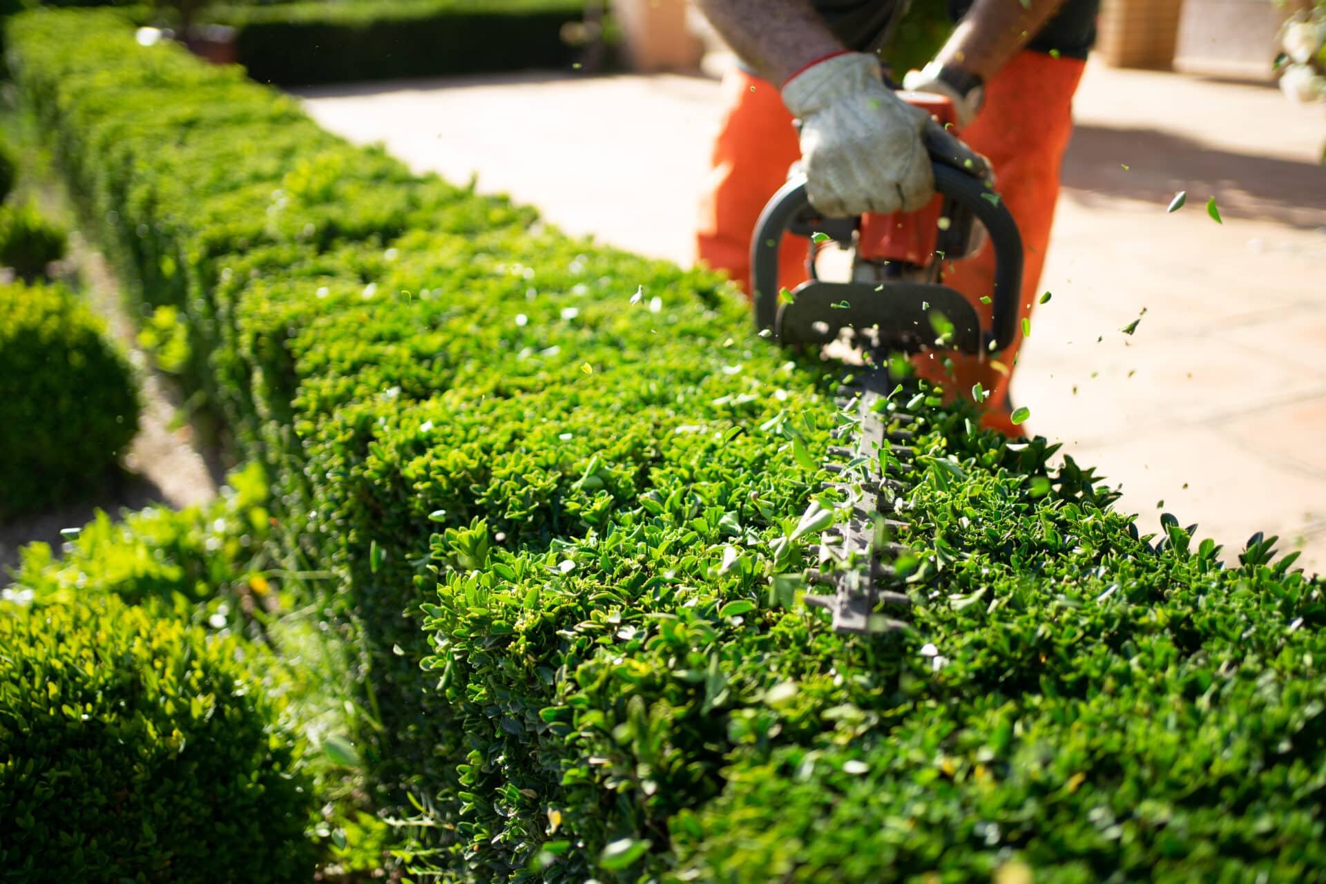 Why A Landscape Maintenance Checklist Is Essential For Facility Why A Landscape Maintenance Checklist Is Essential For Facility